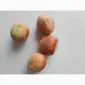 Продам горіх Фундук (лущений і не лущений) - фото № 1