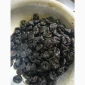 Продам чорнослив - фото № 1