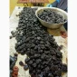 Продам чорнослив - фото № 4