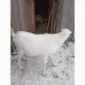 Продам козлика - фото № 3