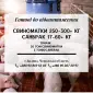 Свині на продаж - фото № 1
