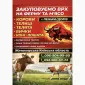Закупка скота на мясо и на содержание Житомирская область Киевская область - фото № 1