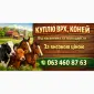 Куплю Бики - фото № 1