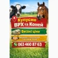 Купую ВРХ та коней за вигідною ціною - фото № 1