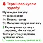 Закупка КРС дорого - фото № 1