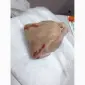 Продам полутушки курицы на экспорт. От поставщика с 20 тонн Польского производства - фото № 1