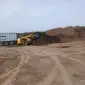 Гній Курячий - фото № 1