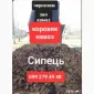 Сипец Одесса. Удобрение для сада - фото № 1