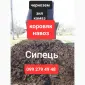 Доставляємо Чернозем Сипець Перегній - фото № 3