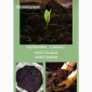 Сипець, перегній, чорнозем, компост у продажу - фото № 2