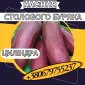 Насіння Столового Буряка Циліндра. Насіння Столового Буряка - фото № 1