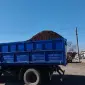 Продам сыпец - фото № 1