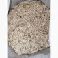 Продам гарбузове насіння ОБ'ЄМ - фото № 2