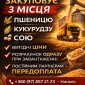 Купуємо зерно з поля та господарства - фото № 1