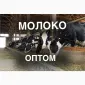 Продаж молока оптом від виробника – 5 000 кг/день - фото № 1