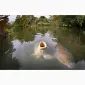Водний біоресурс - фото № 1