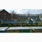 Продам бджолопакети та бджолосім'ї - фото № 1