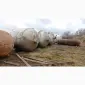 16 куб бочка отстойник эмалированная цистерна діжка - фото № 1