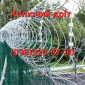 Колючая проволока Егоза для надежных ограждений - фото № 1