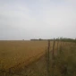 Продам земля 12 га.будинок склад капельне зрошення - фото № 2