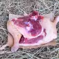 Продажа гусиной ножки, гусятина - фото № 1