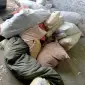 Покупка пуха и пера подушки и перины с выездом - фото № 1