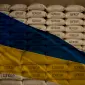Продаж бурякового цукру оптом мішки 50 кг - фото № 1
