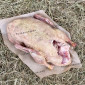 Фермерская утка тушка 2.2–2.7 кг свободный выгул - фото № 1