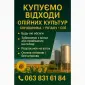 Покупаем отходы масличных культур - фото № 1
