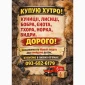 Куплю мех куницы и другое - фото № 1