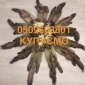 Куплю куницу каменку шкуры куница - фото № 1