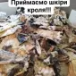 Покупаем сухие шкуры кролика - фото № 1