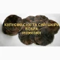 Куплю сухие и сырые шкуры бобра не соленые - фото № 1
