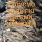 Покупаем шкуры куниц бобра зайца ДОРОГО - фото № 1
