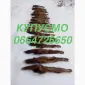 Покупаем куплю куницу куницы шкуры. Шкуры - фото № 1
