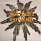 Покупаем шкуры куницы бобра норки выдры мех - фото № 1