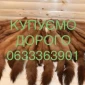 Купуємо ДОРОГО шкіри куниці шкури хутро - фото № 1