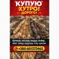 Куплю Шкури Куниці та інше - фото № 1
