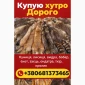 Куплю шкуры Куницы ДОРОГО - фото № 1