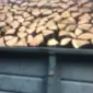 Продаю дрова дуб колотые с доставкой по Харькову и пригороду - фото № 1