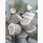 Дубовые дрова с доставкой в Луцк и Луцкий район - фото № 1