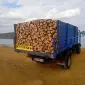 Продам дрова дубовые рубленые - фото № 1