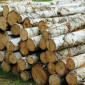 Куплю дрова метровки и щепу - фото № 2