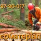 Дрова дуб граб. Топливный брикет. Уголь - фото № 7