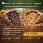 Пелета з лушпиння та гранули з деревини - фото № 1