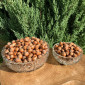 Фундук (горіхи) hazelnuts - фото № 1