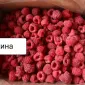Вишня без косточки Клюква, малина, голубика, клубн. - фото № 3