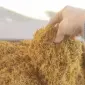 Чорт вірджінія залишилося мало і золоте руно все без хімії і СУХИЙ не прілий - фото № 1