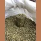 Махорка прста сільська - фото № 1