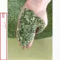 Махорка домашня не пріла ферментована новий врожай Самосад - фото № 1